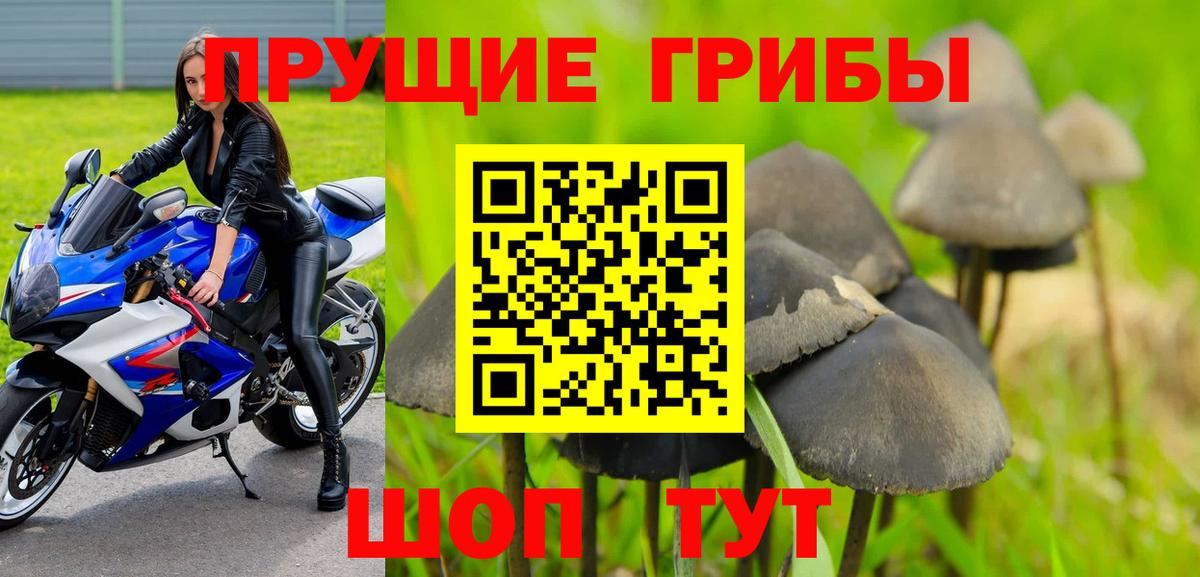 Галлюциногенные грибы Cubensis  где можно купить наркотик  Вход с VPN  Отрадное  Псилоцибиновые грибы ЛСД 